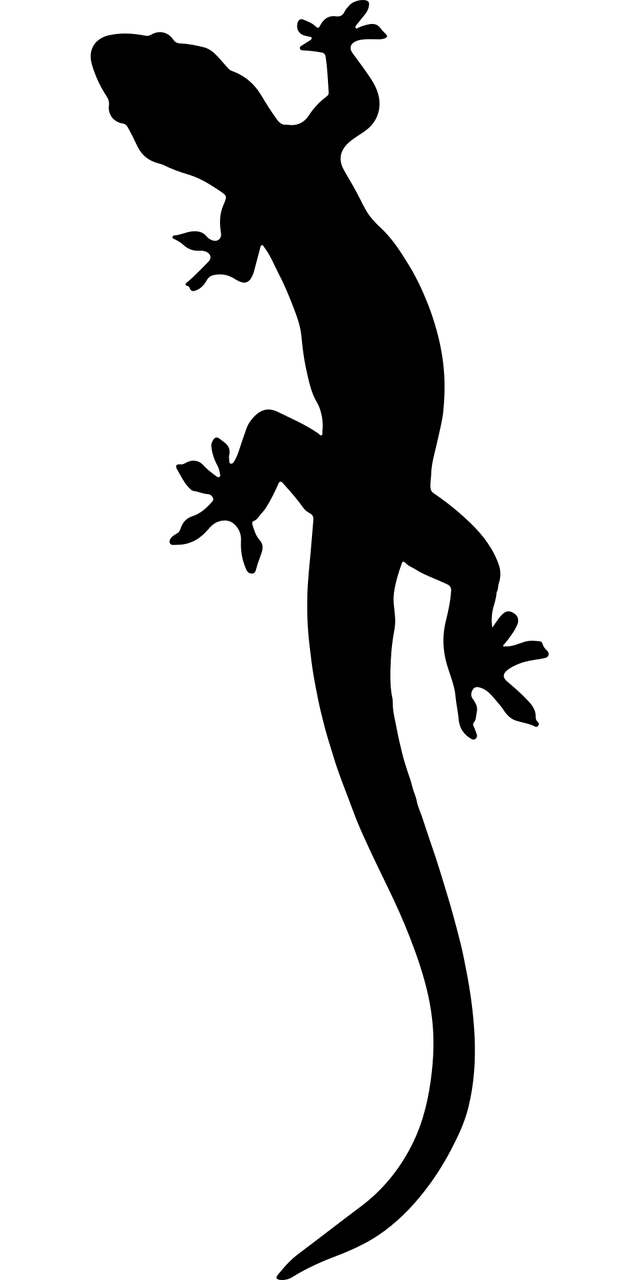 animal, gecko, lizard-1299577.jpg