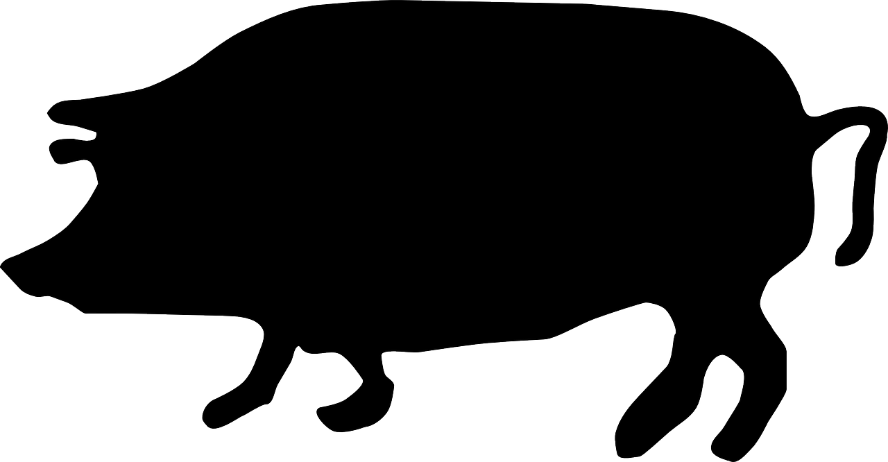 pig, animal, farm-148352.jpg