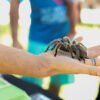 Petting Zoo and Reptile Encounter - Image 18