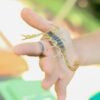 Petting Zoo and Reptile Encounter - Image 15