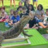 Petting Zoo and Reptile Encounter - Image 13